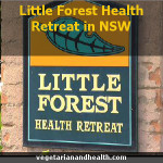 Little Forest Health Retreat